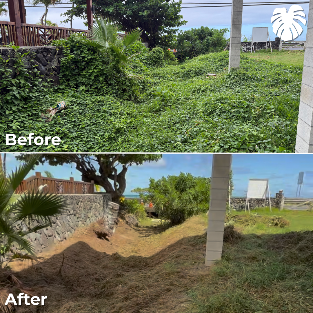 North Shore yard transformation 10