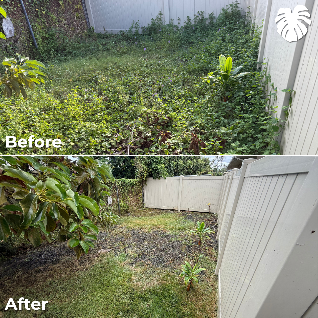 North Shore yard transformation 11