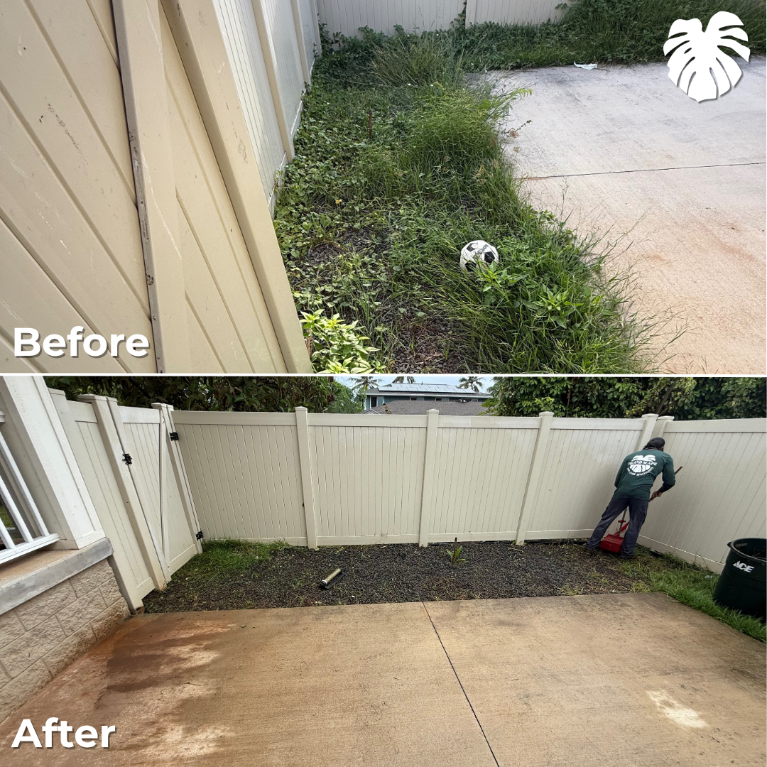 North Shore yard transformation 12