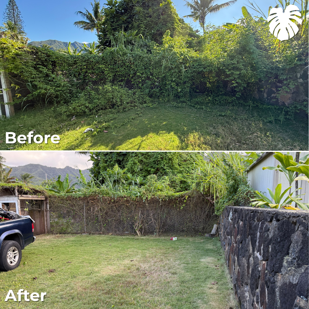 North Shore yard transformation 13