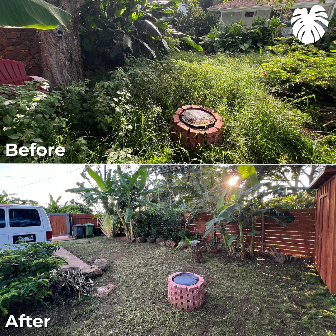 North Shore yard transformation 2