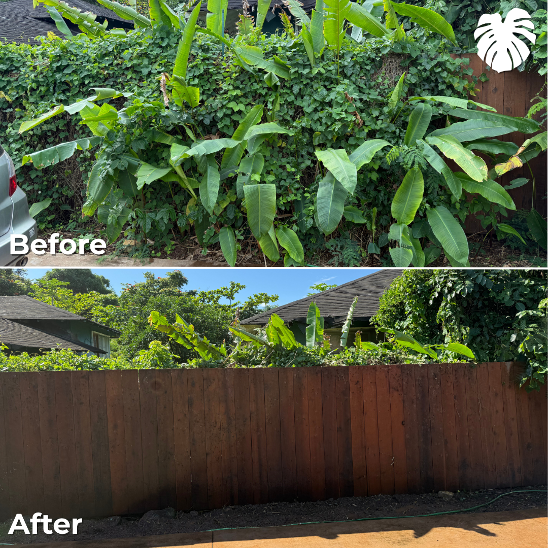 North Shore yard transformation 21