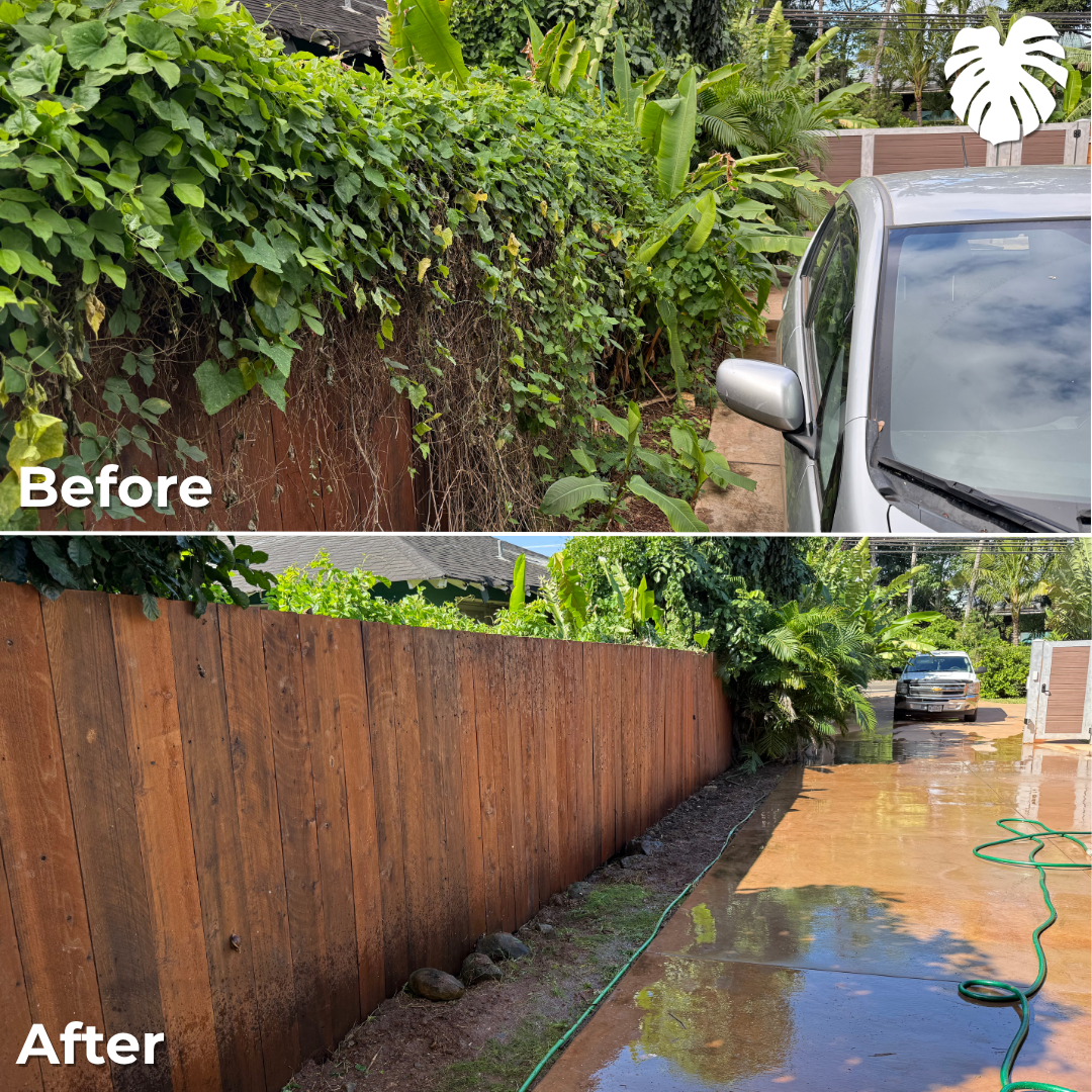 North Shore yard transformation 22