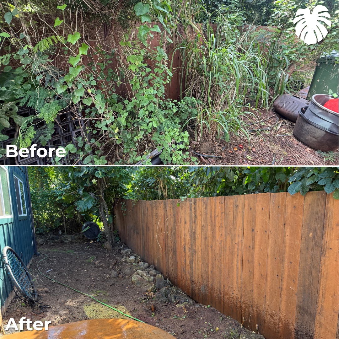 North Shore yard transformation 23