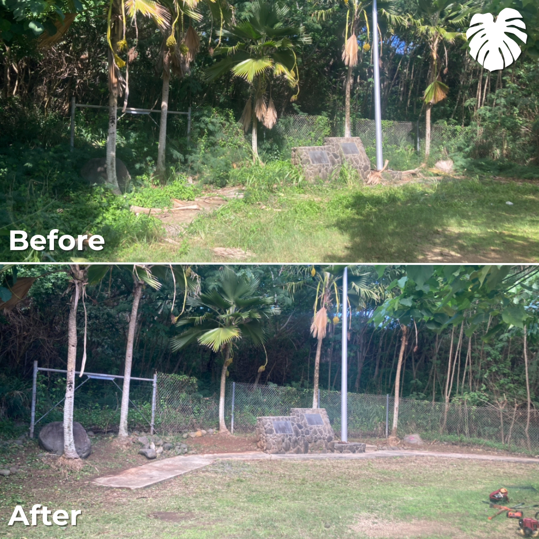 North Shore yard transformation 3