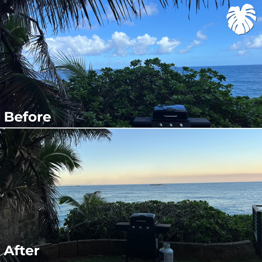 North Shore yard transformation 5