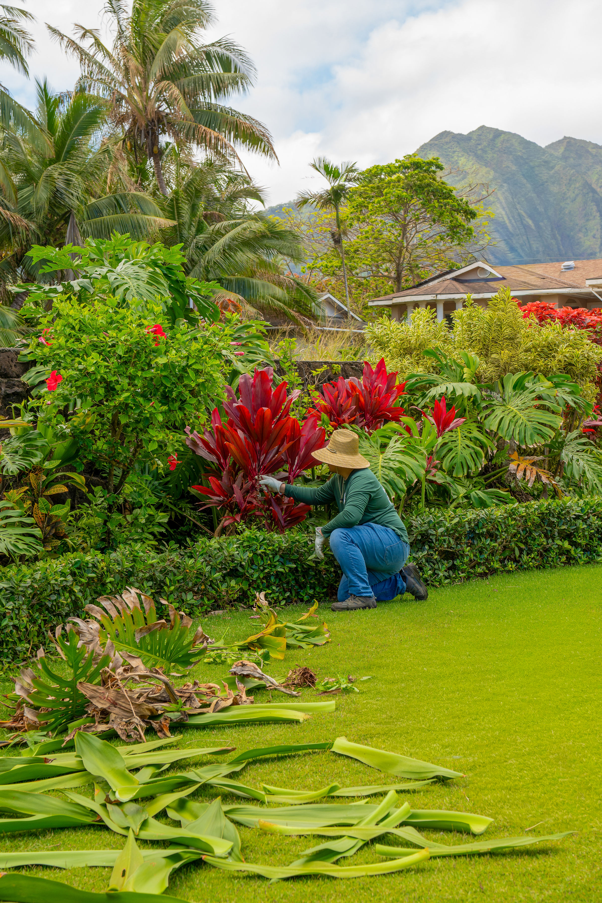 Island Scape technician tending tropical garden bed
