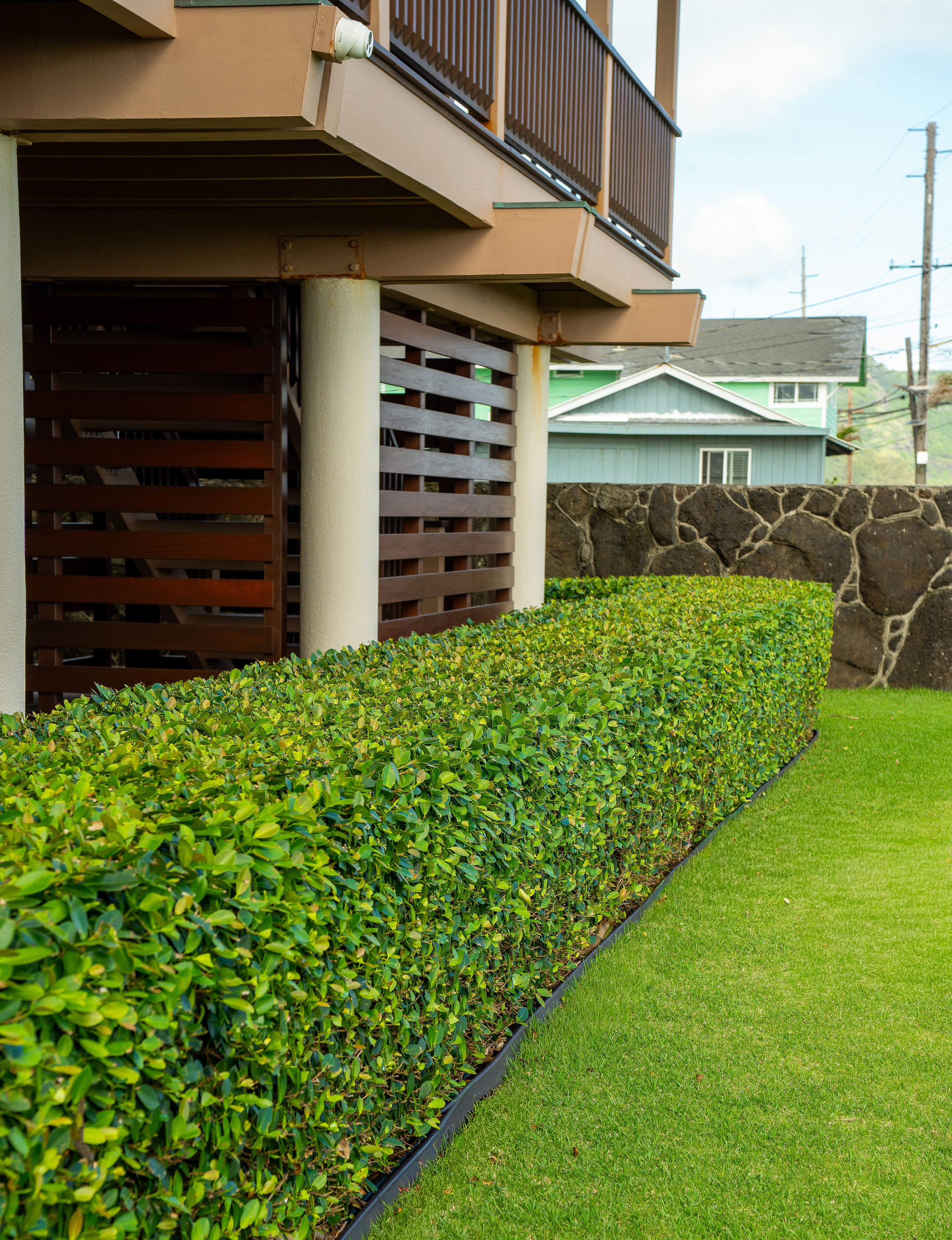 Pristine hedge trimmed and manicured by Island Scape North Shore