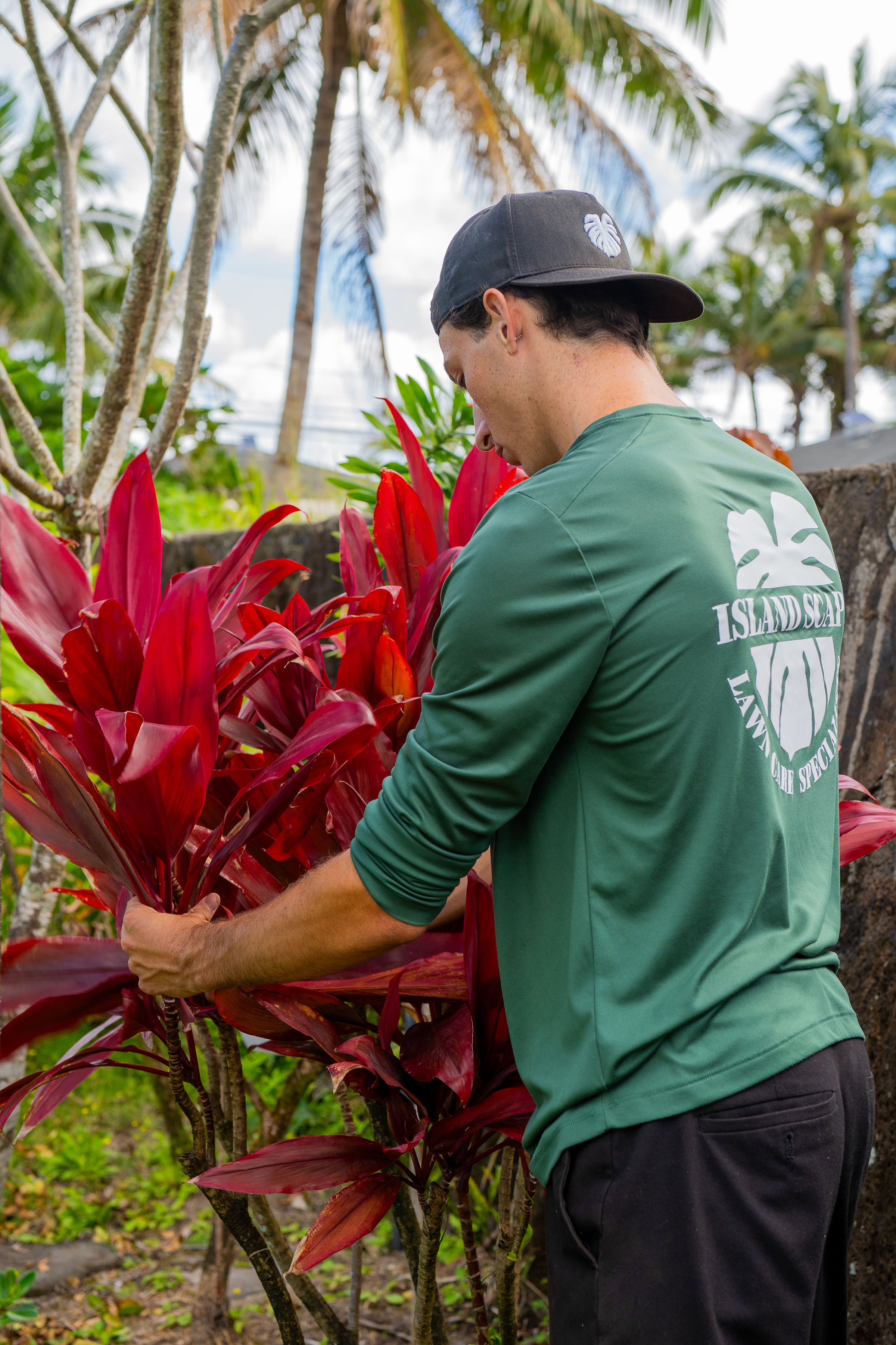 Island Scape technician tending tropical plants on a North Shore property