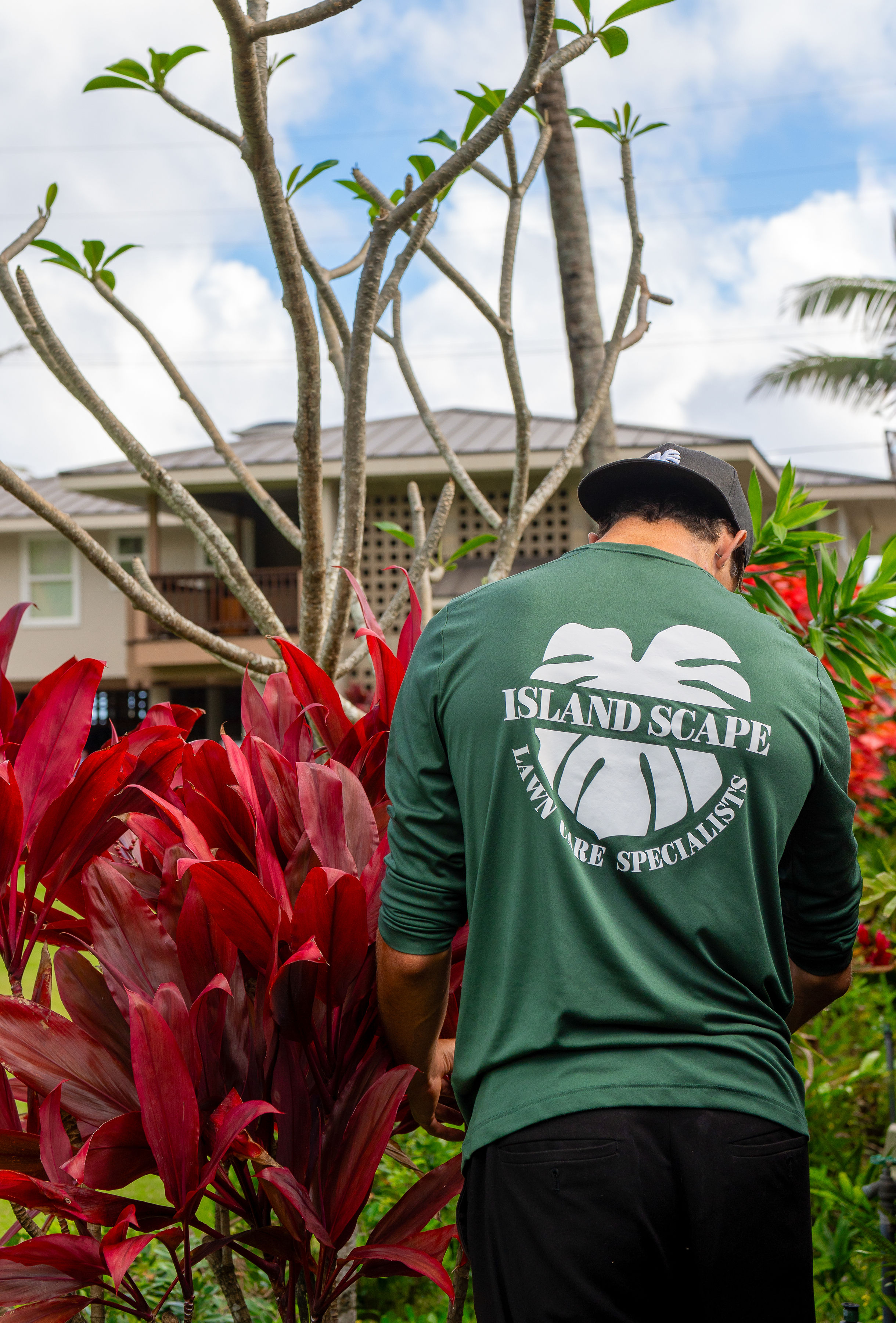 Island Scape technician trimming tropical ti plants on a North Shore property